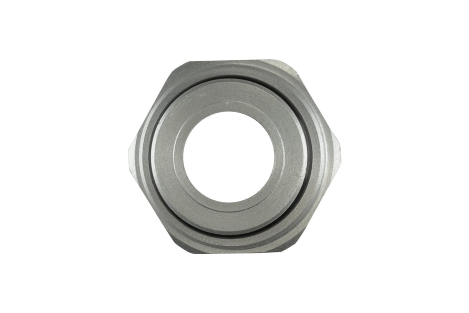 Oil Cap Insert - 10AN  - Clear